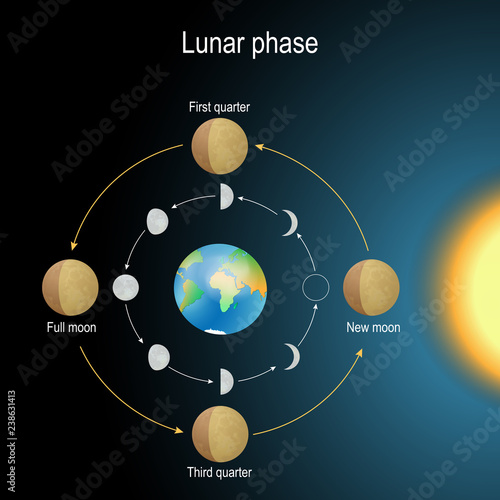 lunar phase. phase of the Moon