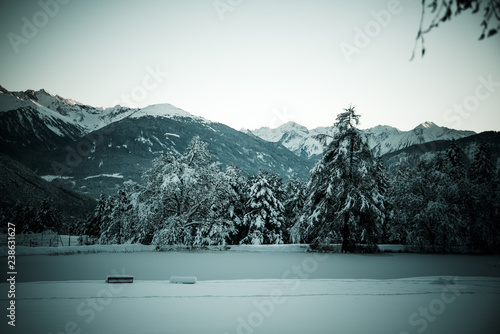 Wallpaper Mural Baum der Jahreszeit Torontodigital.ca