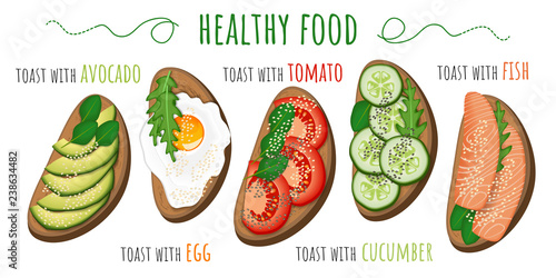 Healthy food. Toasts with avocado, tomato, fried egg, cucumber and fish. Vector illustration isolated on white background