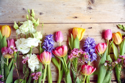 Frühling Frühlingsblumen Bl...