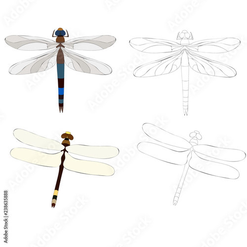 dragonfly insect, with a sketch, set