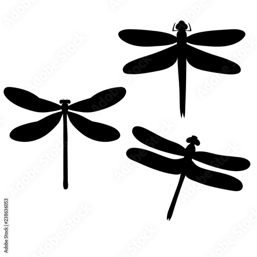 vector, isolated, silhouette dragonfly, set