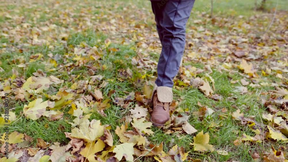 Woman feet walking in autumn park covered with yellow leaves. Close up legs in warm shoes walking outdoors on nature. Girl wearing stylish boots enjoying fall weather. Woman feet walking in autumn park covered with yellow leaves. Close up legs in warm shoes walking outdoors on nature. Girl wearing stylish boots enjoying fall weather.