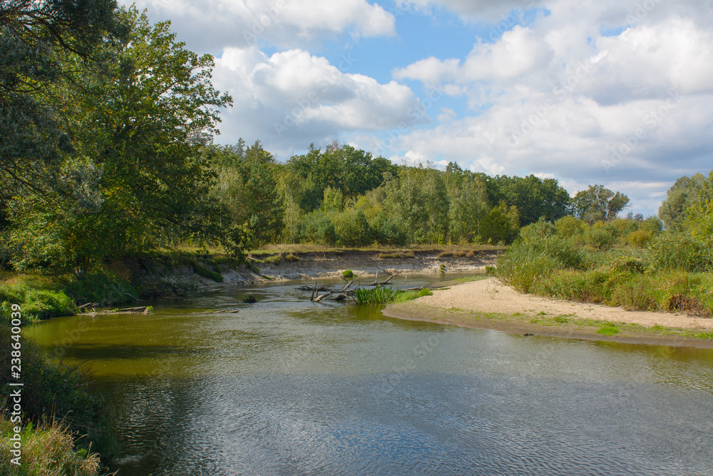 Landscape with river and trees