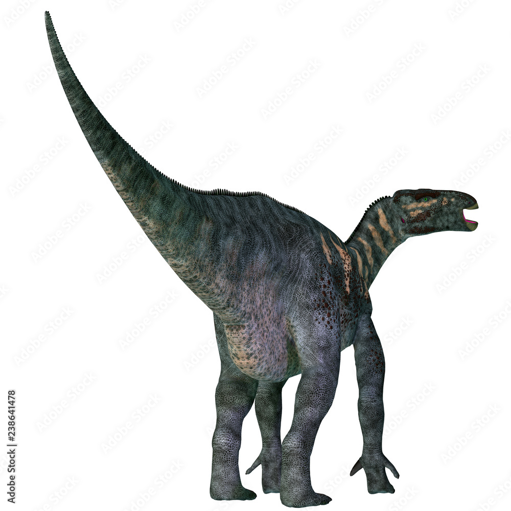 Iguanodon Dinosaur Tail - Iguanodon was a herbivorous ornithopod dinosaur that lived in Europe during the Cretaceous Period. Iguanodon Dinosaur Tail - Iguanodon was a herbivorous ornithopod dinosaur that lived in Europe during the Cretaceous Period.