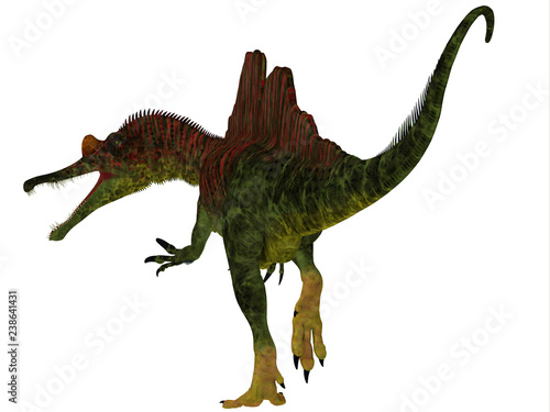 Ichthyovenator Dinosaur Tail - Ichthyovenator was a carnivorous theropod dinosaur that lived in Laos, Asia during the Cretaceous Period. © Catmando