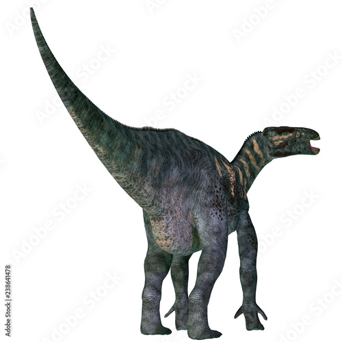 Iguanodon Dinosaur Tail - Iguanodon was a herbivorous ornithopod dinosaur that lived in Europe during the Cretaceous Period. © Catmando