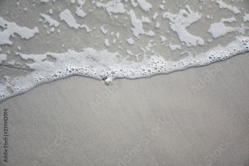A shell on the beach on sea shore  White bubble of sea wave on seaside