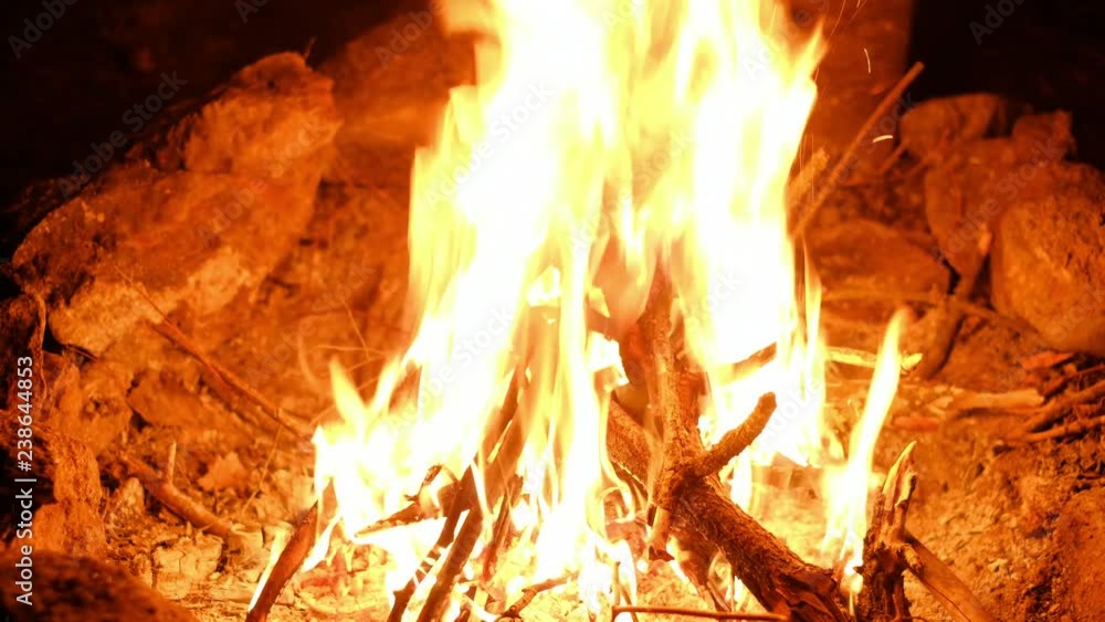 Big bonfire fire on wild nature background. Close-up travel, adventure hot and bright flame light. Cozy evening in the forest outdoors. Burning wooden firewood, log, timber. Big bonfire fire on wild nature background. Close-up travel, adventure hot and bright flame light. Cozy evening in the forest outdoors. Burning wooden firewood, log, timber.