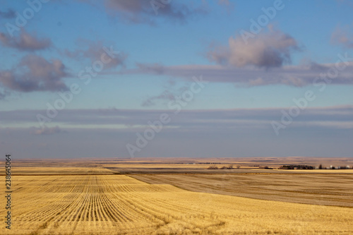 Harvested crop field in North Dakota