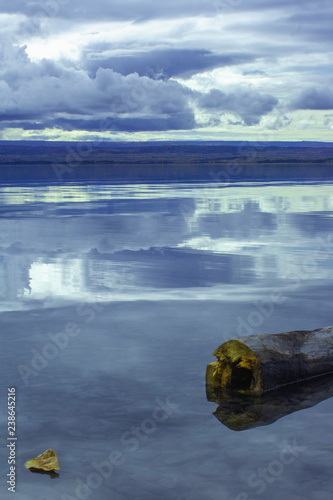 Log and leaf sit in shallow waters of Alaskan lake on the Kenai Peninsula