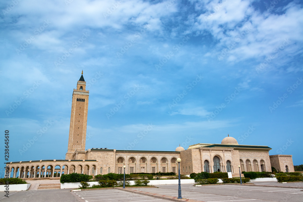 Large Mosque in Carthage, Tunisia