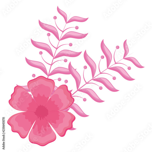 tropical flowers design