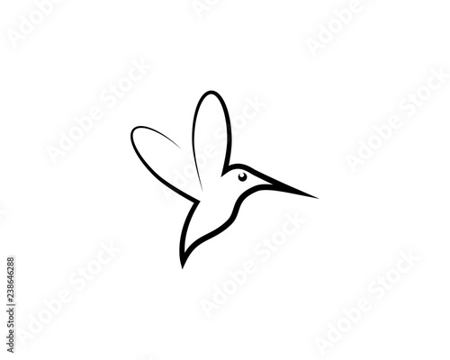 Hummingbird logo template vector icon