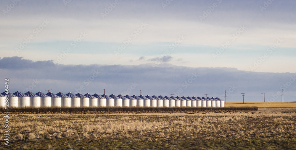 Row of grain silos in empty field 