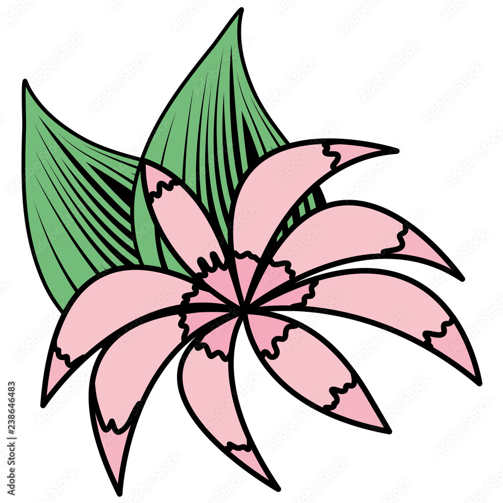tropical flowers design tropical flowers design