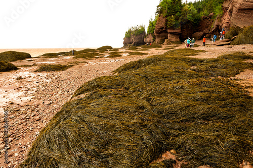 The Bay of Fundy in Canada with the highest tides on earth is one of the natural wonders of the world