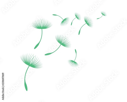 Fototapeta Naklejka Na Ścianę i Meble -  Dandelion vector illustration design