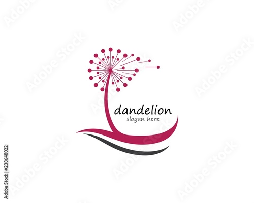 Fototapeta Naklejka Na Ścianę i Meble -  Dandelion vector illustration design