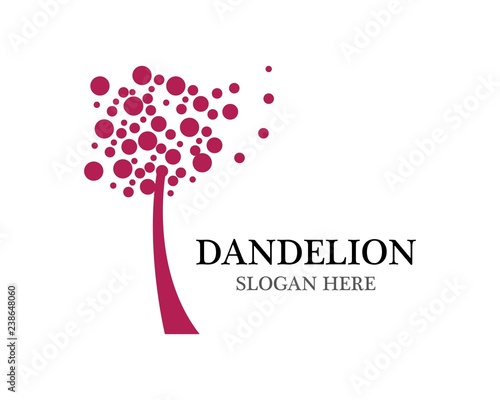 Fototapeta Naklejka Na Ścianę i Meble -  Dandelion vector illustration design