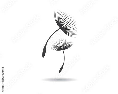 Dandelion vector illustration design