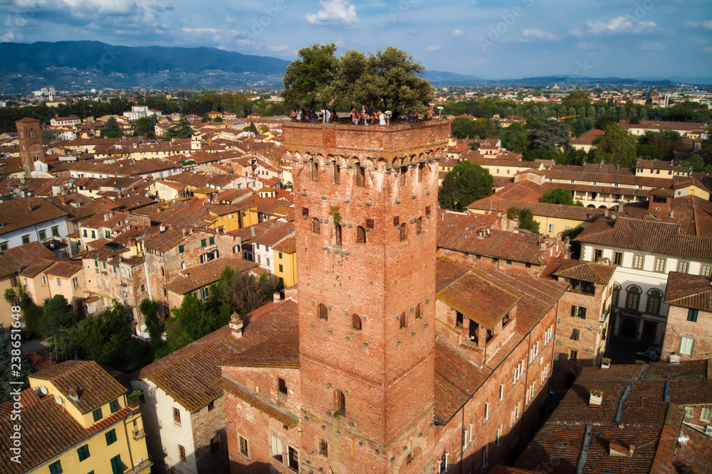 Torre Guinig in the city of Lucca