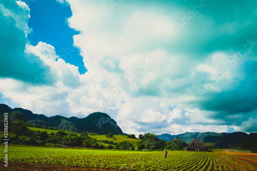 Photography Country side in Vinales, Cuba