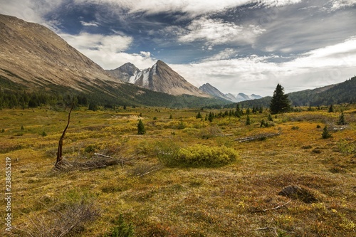 Early Autumn Landscape Hiking at Cottongrass Meadows with view of distant Rocky Mountain Peaks in Banff National Park