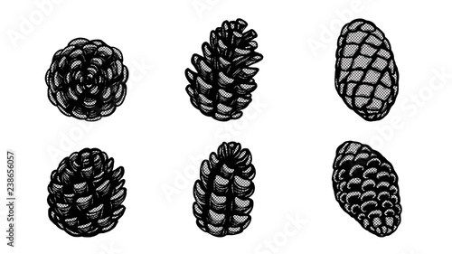 Set of lace pine cones silhouette on white background.Black and white sticker vector by hand drawing