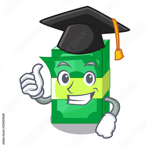 Graduation stack of dollars isolated on mascot