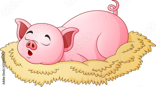 Cute pig cartoon sleeping