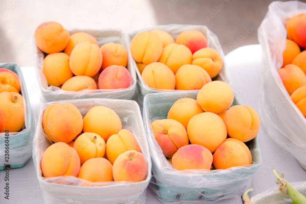 boxes of apricot