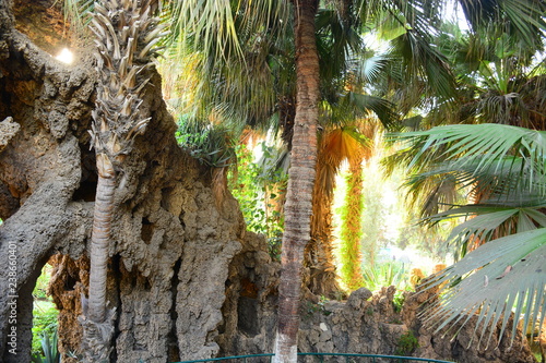 Fototapeta Naklejka Na Ścianę i Meble -  coral leaves building in a garden Gabalaia in Cairo Egypt