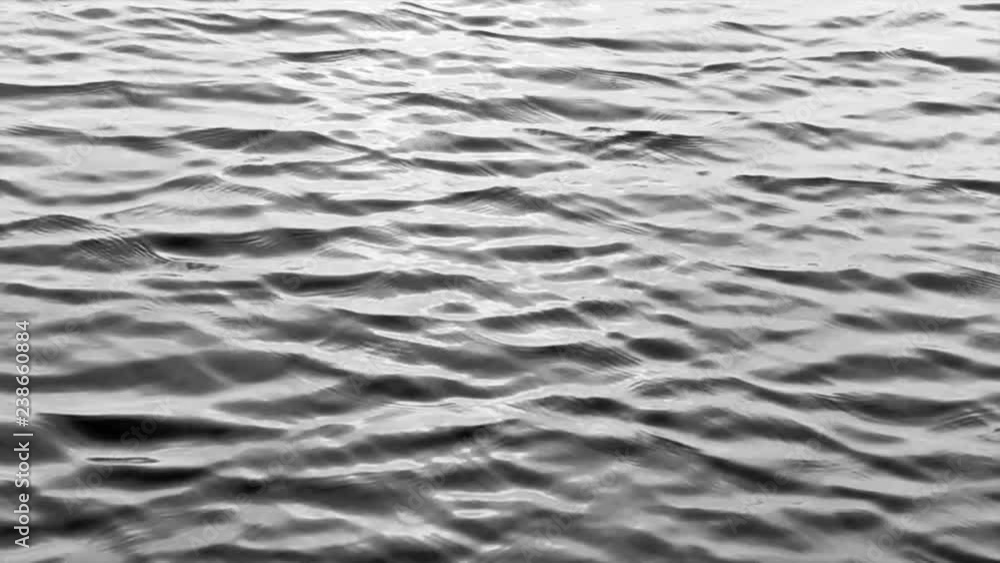 Ripples Ripples