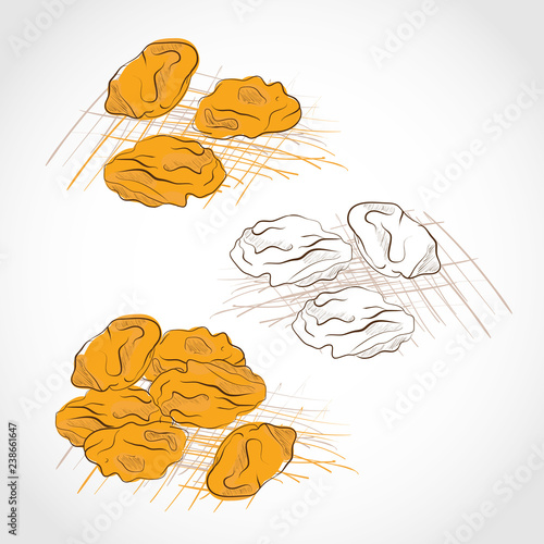 Raisins yellow. Dried. Grapes dry. Color pattern and black and white. Sketch. Set.