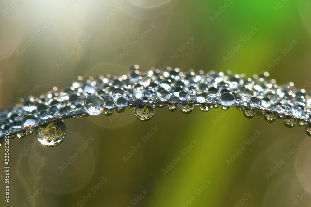 Dew droplets on nature background. Dew droplets on nature background.