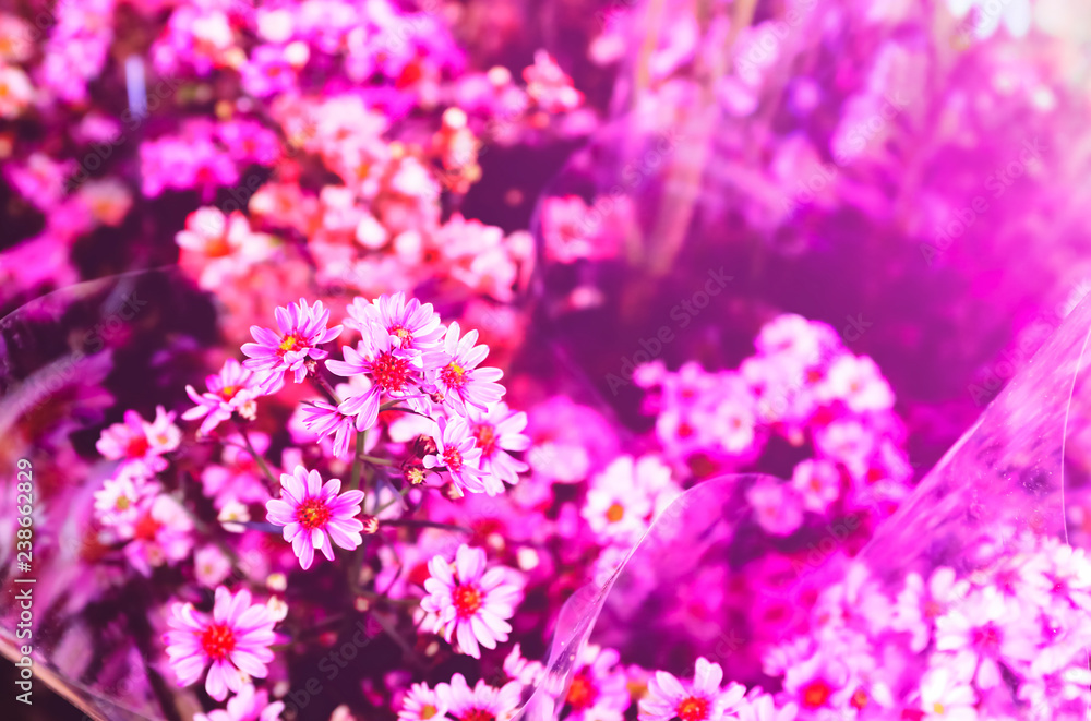 Beautiful vintage flowers for background
