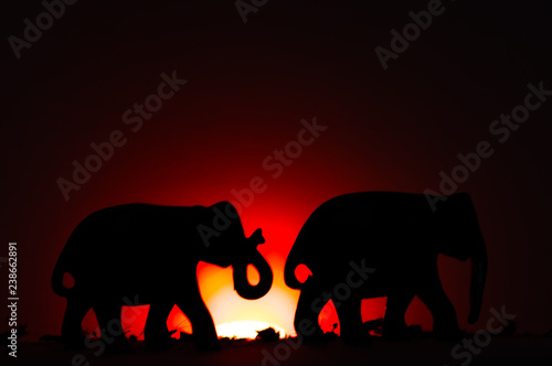 Elephants in sunset 
