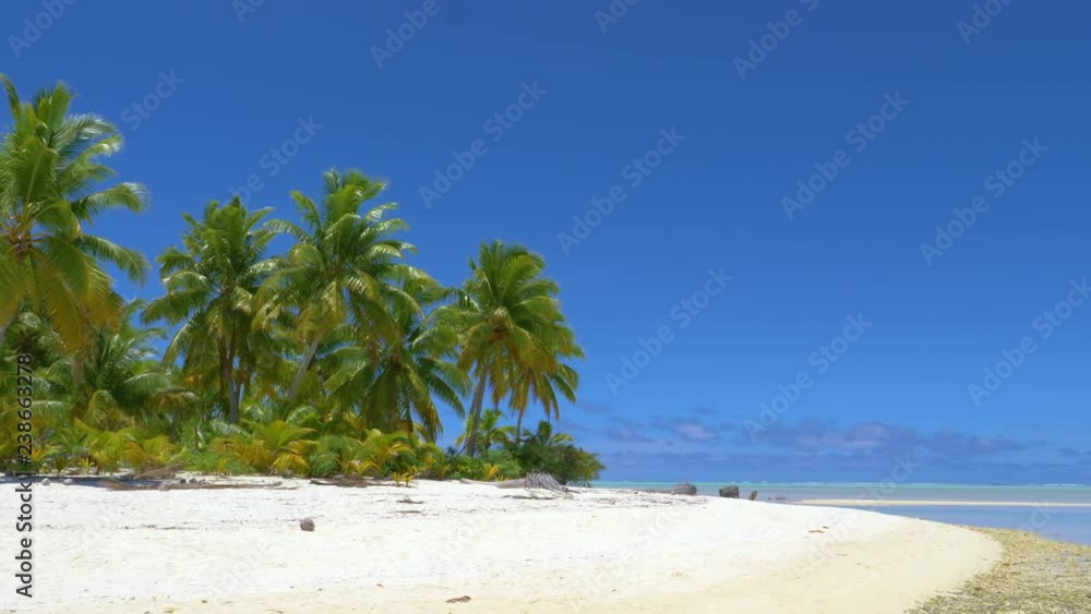 COPY SPACE: Beautiful view of the vivid exotic nature and the empty sandy shore on the famous One Foot Island. Lush green palm tree branches sway in the war breeze blowing down idyllic exotic beach. COPY SPACE: Beautiful view of the vivid exotic nature and the empty sandy shore on the famous One Foot Island. Lush green palm tree branches sway in the war breeze blowing down idyllic exotic beach.