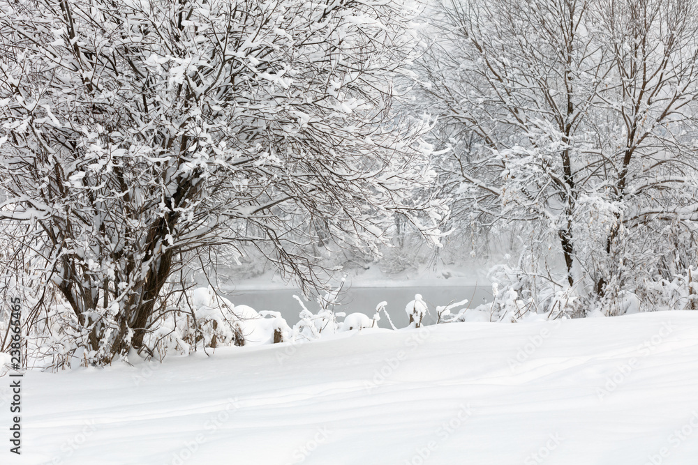 Winter landscape. Cold day. Winter landscape. Cold day.