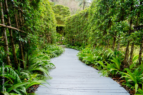 White wooden walkway in a tropical garden