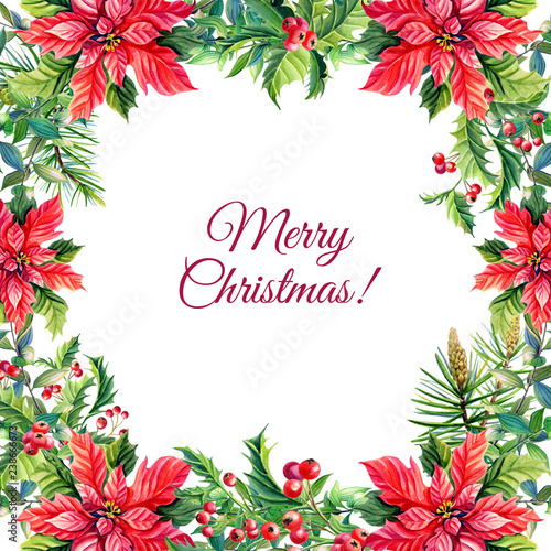 Fototapeta Naklejka Na Ścianę i Meble -  Watercolor Merry Christmas and New Year Greeting Card with Red poinsettia flowers, Holly,