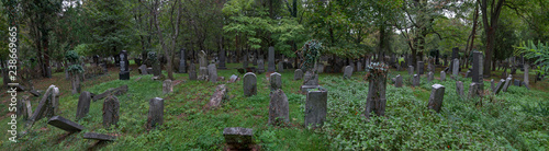 Der Zentralfriedhof in Wien