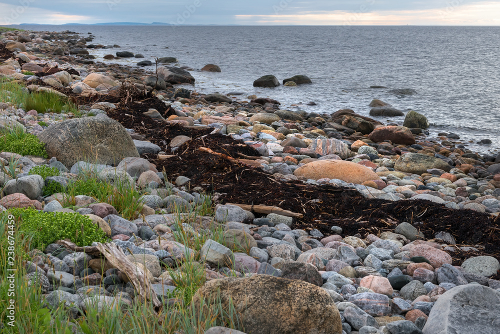 Huge stones and algae on the coastline  of the Bolshoy Zayatsky Island. Solovetsky archipelago, White sea, Russia
