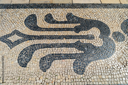 A variety of mosaic patterns of paving slabs on the pedestrian zones of Lisbon. Portugal in Autumn
