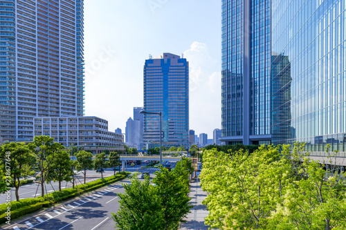 (東京都ｰ都市風景)豊洲オフィスビル群と並木道４