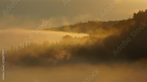 Misty landscape in the San Valley. Bieszczady Mountains. Poland © Szymon Bartosz