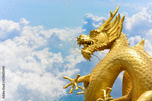 Chinese golden dragon statue on clouds and blue sky background  copy space