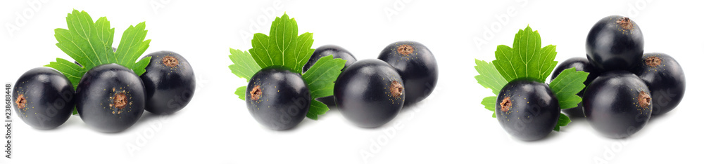 black currant with green leaf isolated on white background. macro black currant with green leaf isolated on white background. macro