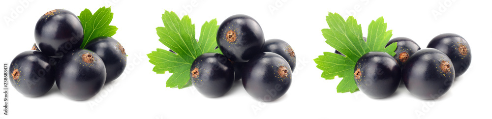black currant with green leaf isolated on white background. macro black currant with green leaf isolated on white background. macro